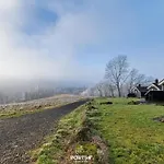 Talblick - Neles Nest - Im Harz