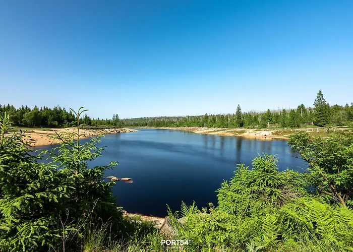 Talblick - Neles Nest - Im Harz Sankt Andreasberg